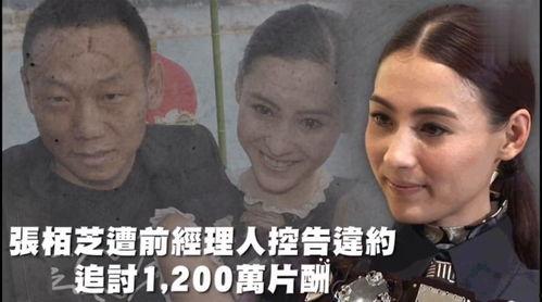 娱乐吃瓜大好人,王冠的璀璨星途与传奇人生