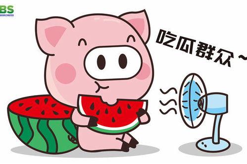 2022娱乐吃瓜动画,厨艺对决变“吐槽大会”，若风夫妇家庭问题引热议